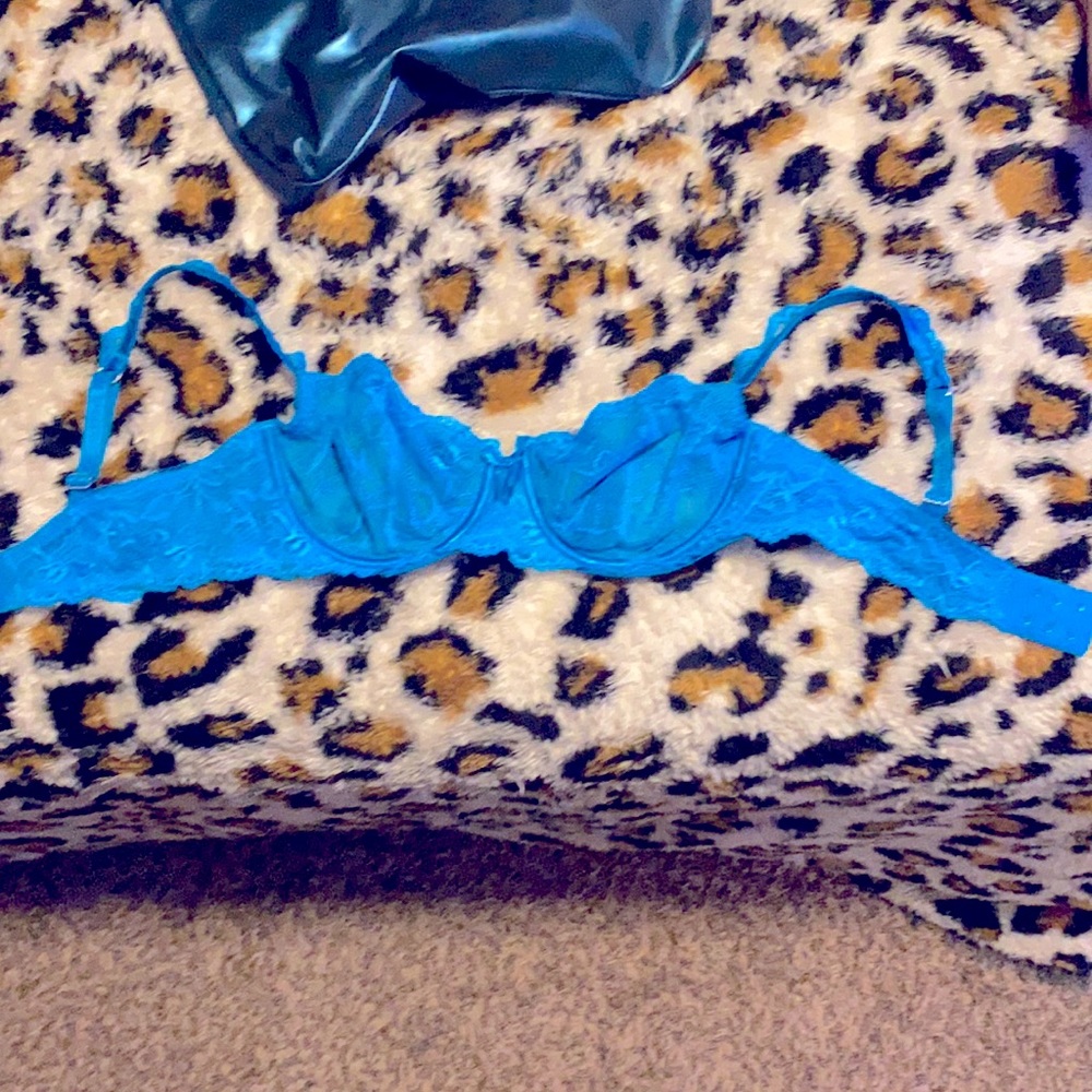 VS Dream Angels Blue Lace Bra 36C